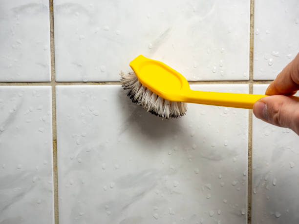 Best Mold Removal Near Me  in Murrieta, CA
