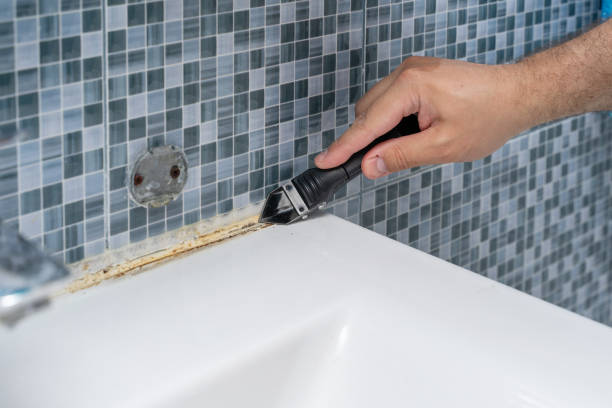 Mold Removal and Inspection in Murrieta, CA