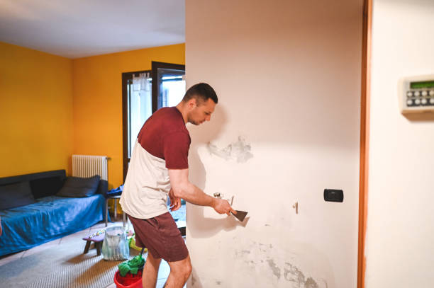 Mold Testing and Removal in Murrieta, CA